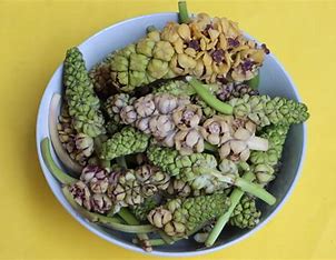 Discover Nakima: The Wild Edible Delicacy from the Himalayas